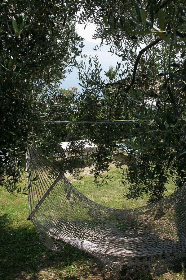 Appartamenti Serena - Nonna Elvira Gargnano Exterior foto
